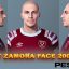 PES 2021 Bobby Zamora Face